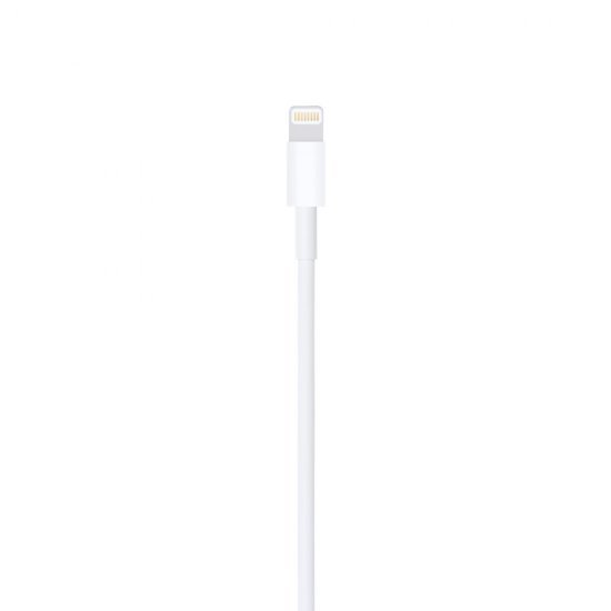 Câble Apple Lightning vers USB 2,0 m