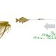 MadCat Adjusta Basic River Rig - Appâts Vivants 20G