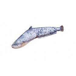Gaby Le petit coussin poisson-chat 62cm