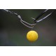 Korda Kickers D Rig Marron Grand