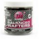 Mainline High Impact Balanced Wafters Salty Squid 15mm