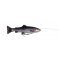 Savage Gear 4D Line Thru Pulse Tail Trout 20 cm 102 g Truite arc-en-ciel à évier lent