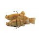 Fox Rage Replicant Articulé Super Natural Golden Tench