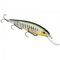 Strike King KVD Deep 300 Jerkbait 12cm Perche fantôme