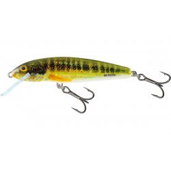 Salmo Minnow Naufrage 5cm Holo Real Minnow