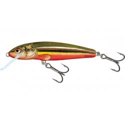 Salmo Minnow Naufrage 5cm Rainbow Dace