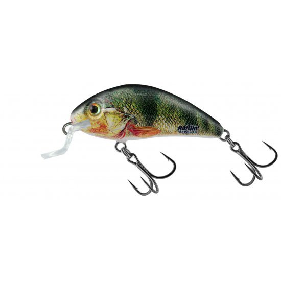 Salmo Rattlin Hornet Peu Profonde 4.5cm Supernatural Perche