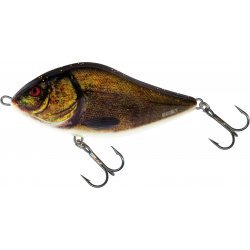 Salmo Slider Coulant 10cm Tanche